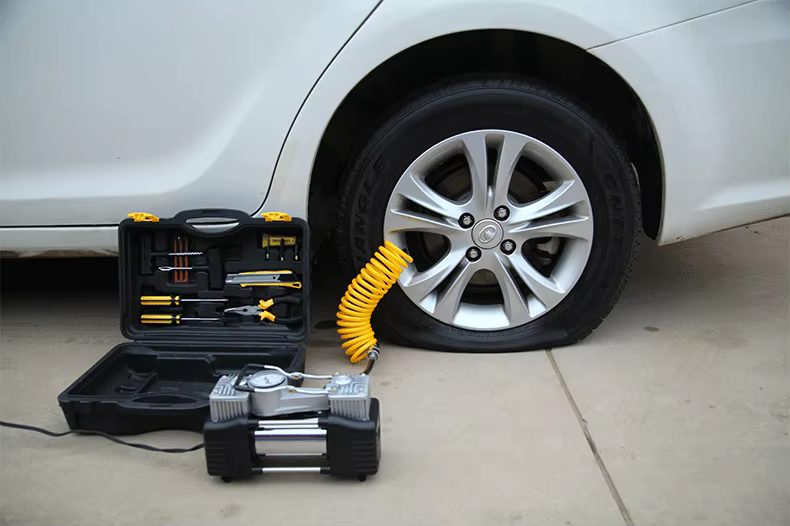 S516fbf40a5fa49cea1b2a6b81779f0b91